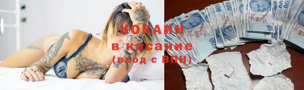 apvp Аркадак