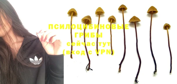 кристаллы Арсеньев