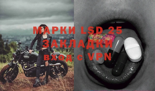 apvp Аркадак