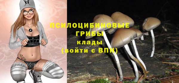 винт Армянск