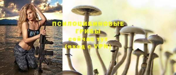 винт Армянск