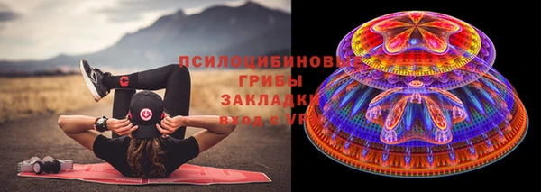 винт Армянск